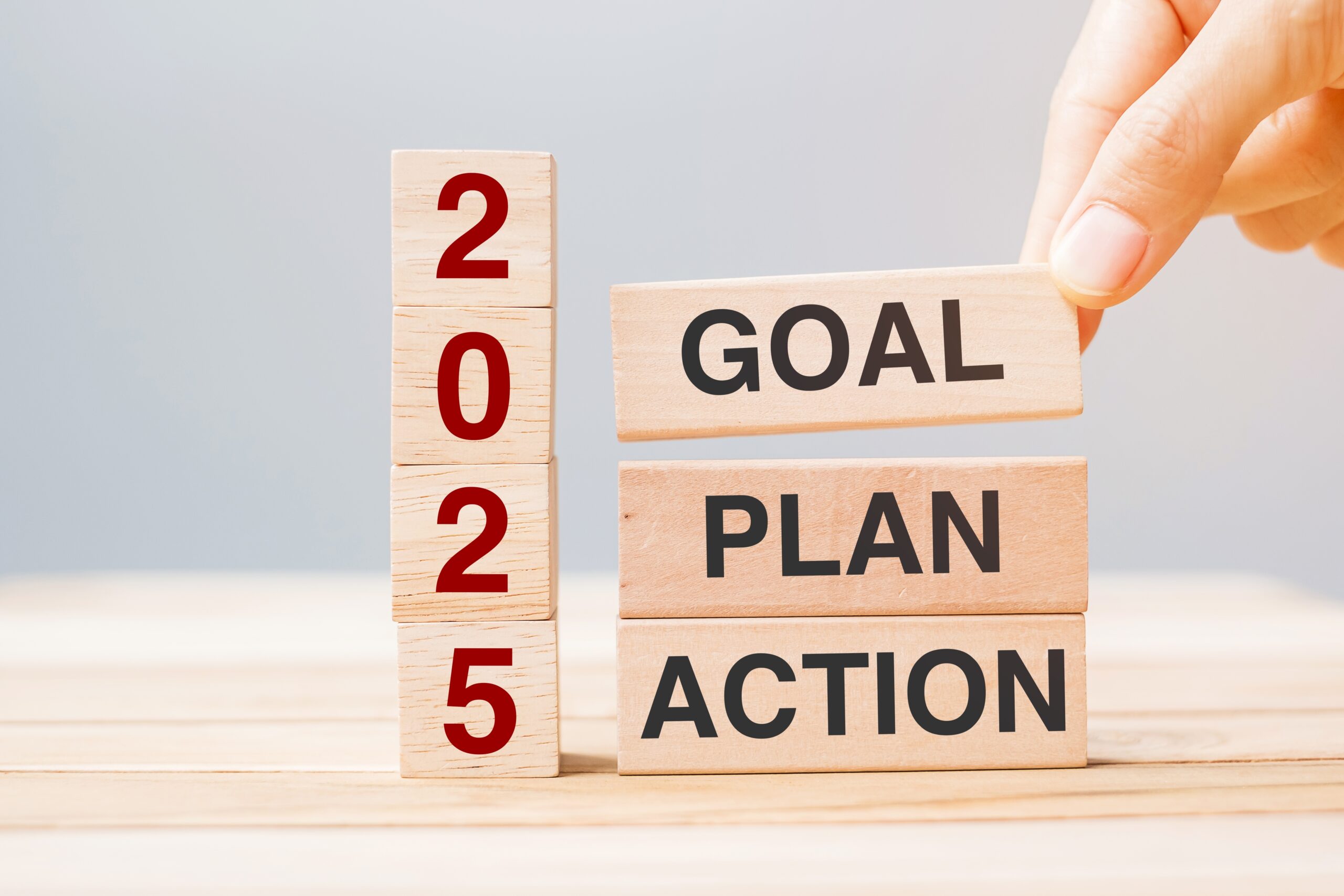 goal plan action